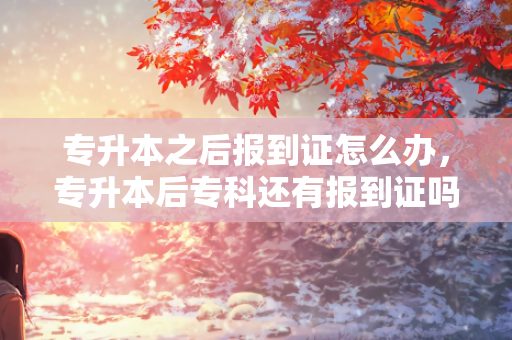 专升本之后报到证怎么办，专升本后专科还有报到证吗江苏
