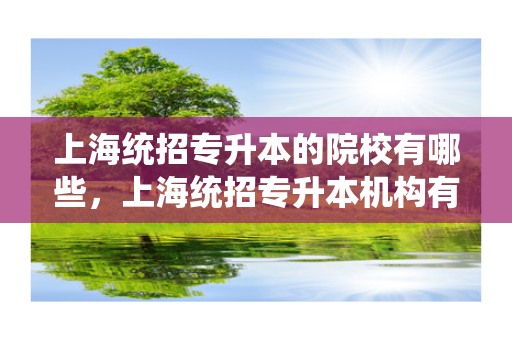 上海统招专升本的院校有哪些，上海统招专升本机构有哪些