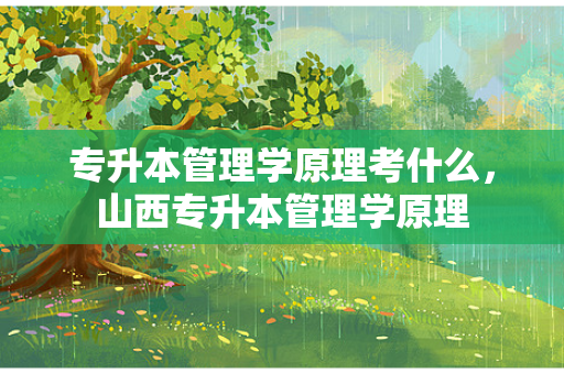 专升本管理学原理考什么，山西专升本管理学原理
