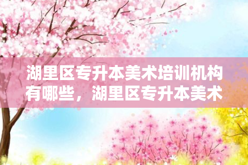 湖里区专升本美术培训机构有哪些，湖里区专升本美术培训机构地址