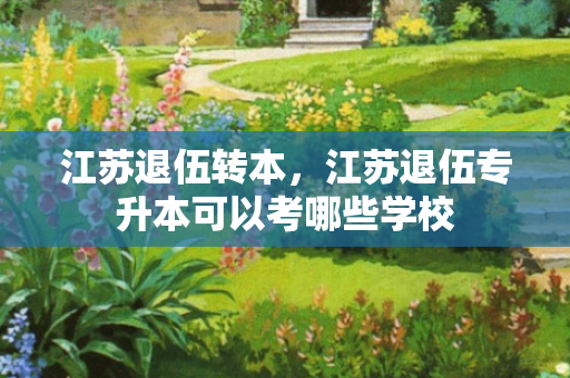 江苏退伍转本，江苏退伍专升本可以考哪些学校