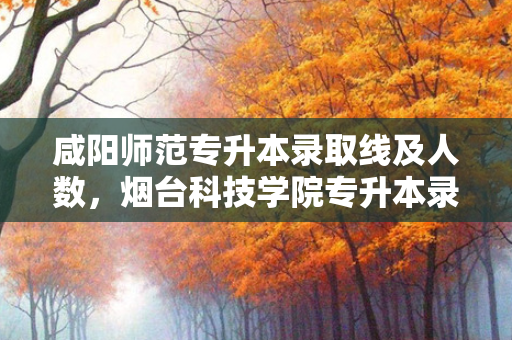 咸阳师范专升本录取线及人数，烟台科技学院专升本录取线