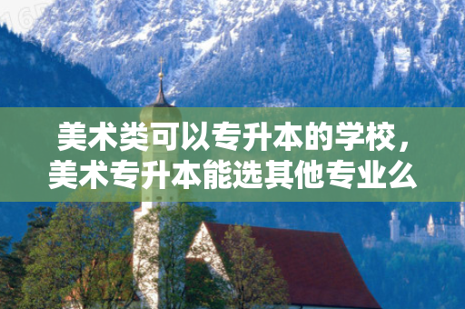 美术类可以专升本的学校，美术专升本能选其他专业么