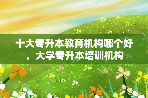 十大专升本教育机构哪个好，大学专升本培训机构
