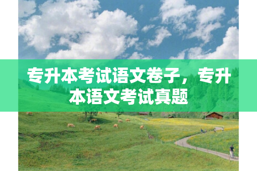 专升本考试语文卷子，专升本语文考试真题