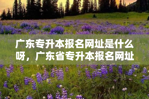 广东专升本报名网址是什么呀，广东省专升本报名网址