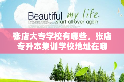 张店大专学校有哪些，张店专升本集训学校地址在哪