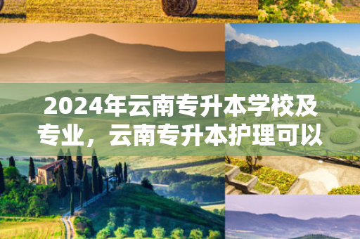2024年云南专升本学校及专业，云南专升本护理可以报考哪些学校