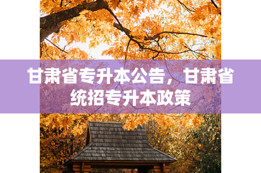 甘肃省专升本公告，甘肃省统招专升本政策