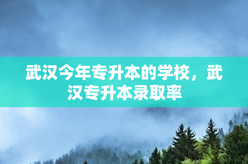 武汉今年专升本的学校，武汉专升本录取率