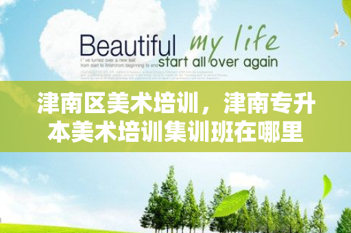 津南区美术培训，津南专升本美术培训集训班在哪里