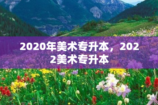 2020年美术专升本，2022美术专升本