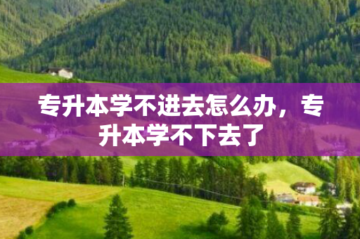 专升本学不进去怎么办，专升本学不下去了