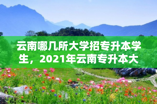 云南哪几所大学招专升本学生，2021年云南专升本大学