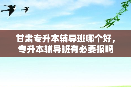 甘肃专升本辅导班哪个好，专升本辅导班有必要报吗
