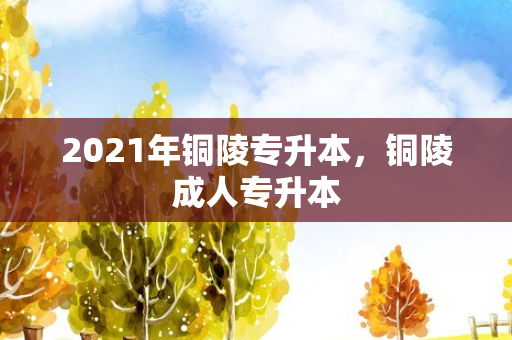 2021年铜陵专升本，铜陵成人专升本