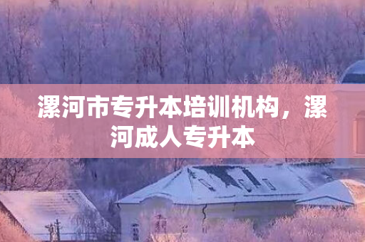 漯河市专升本培训机构，漯河成人专升本