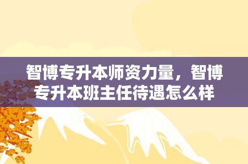 智博专升本师资力量，智博专升本班主任待遇怎么样