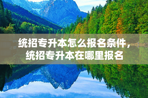 统招专升本怎么报名条件，统招专升本在哪里报名