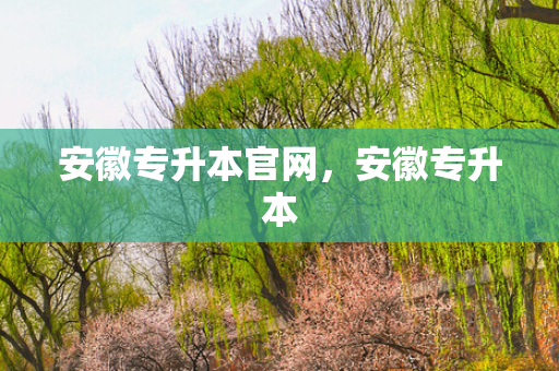 安徽专升本官网，安徽专升本