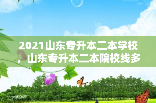 2021山东专升本二本学校，山东专升本二本院校线多少分能上