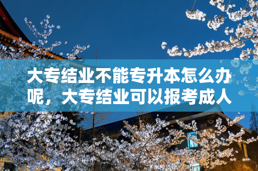 大专结业不能专升本怎么办呢，大专结业可以报考成人本科吗