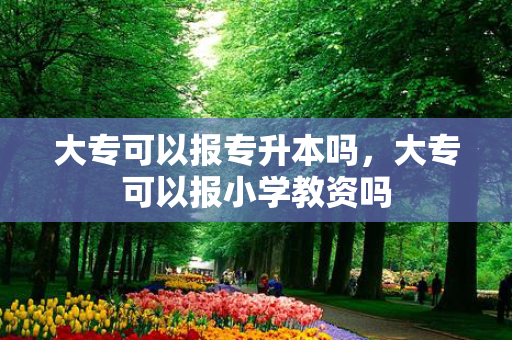 大专可以报专升本吗，大专可以报小学教资吗
