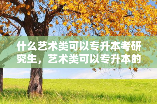 什么艺术类可以专升本考研究生，艺术类可以专升本的学校
