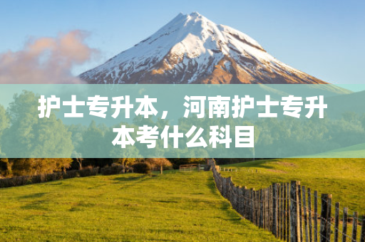 护士专升本，河南护士专升本考什么科目