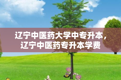 辽宁中医药大学中专升本，辽宁中医药专升本学费