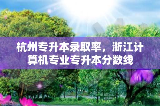 杭州专升本录取率，浙江计算机专业专升本分数线