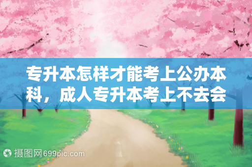 专升本怎样才能考上公办本科，成人专升本考上不去会怎样