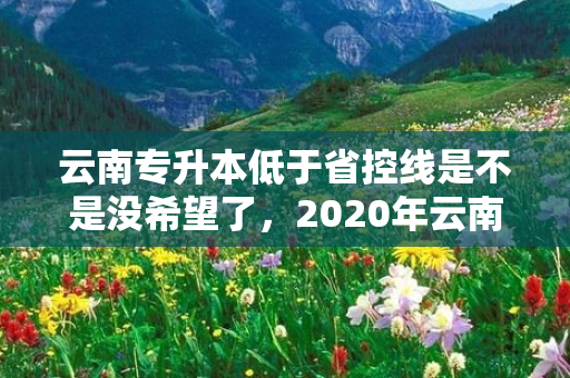 云南专升本低于省控线是不是没希望了，2020年云南省专升本省控线是多少
