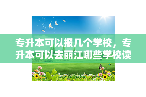 专升本可以报几个学校，专升本可以去丽江哪些学校读