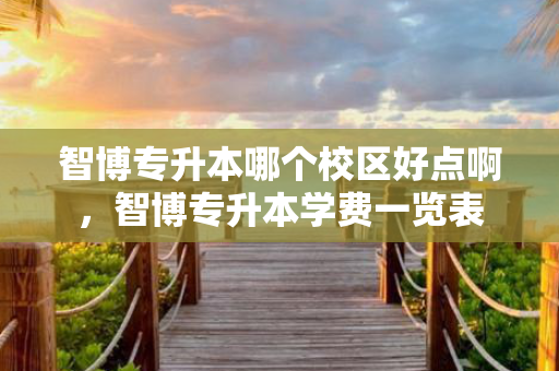智博专升本哪个校区好点啊，智博专升本学费一览表