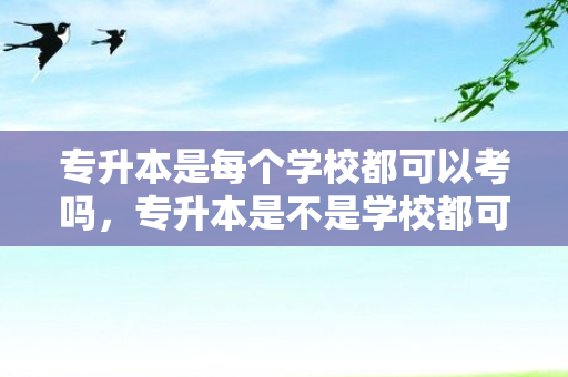 专升本是每个学校都可以考吗，专升本是不是学校都可以考的