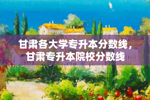 甘肃各大学专升本分数线，甘肃专升本院校分数线