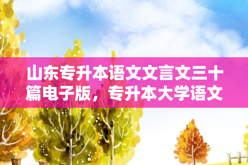 山东专升本语文文言文三十篇电子版，专升本大学语文文言文三十篇