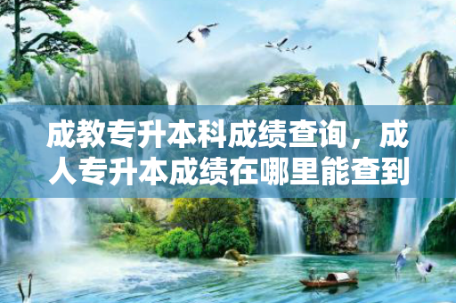 成教专升本科成绩查询，成人专升本成绩在哪里能查到