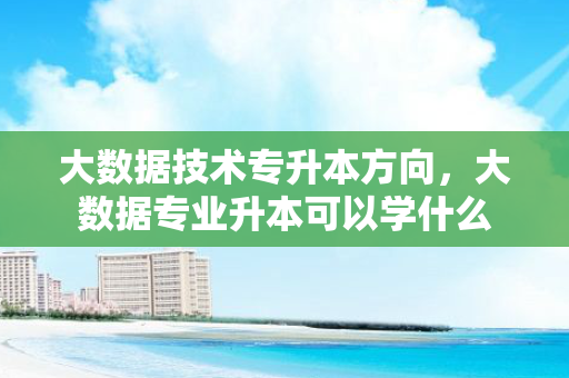 大数据技术专升本方向，大数据专业升本可以学什么