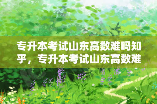 专升本考试山东高数难吗知乎，专升本考试山东高数难吗