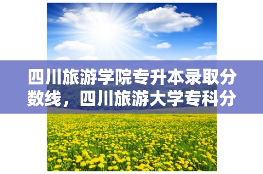 四川旅游学院专升本录取分数线，四川旅游大学专科分数线