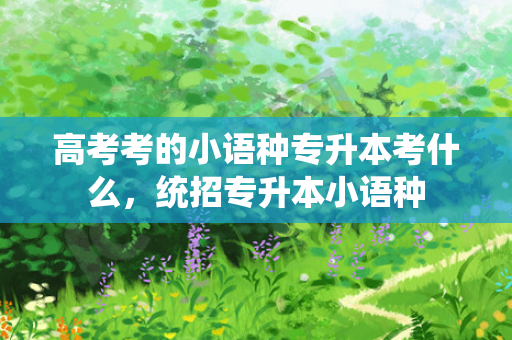高考考的小语种专升本考什么，统招专升本小语种
