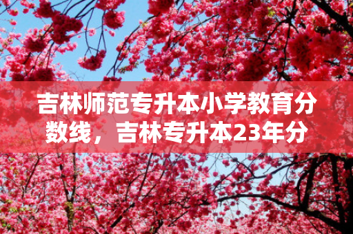 吉林师范专升本小学教育分数线，吉林专升本23年分数线