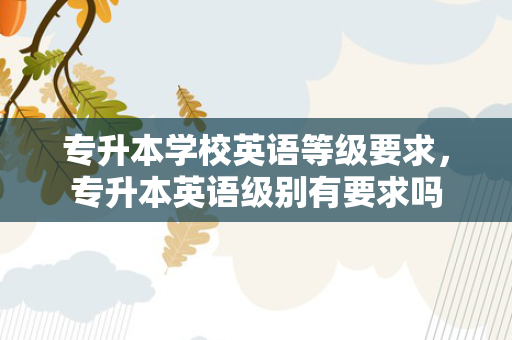 专升本学校英语等级要求，专升本英语级别有要求吗