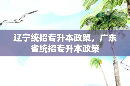 辽宁统招专升本政策，广东省统招专升本政策