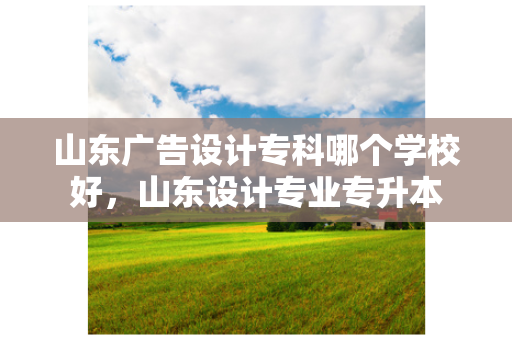 山东广告设计专科哪个学校好，山东设计专业专升本