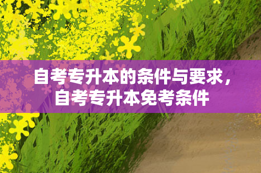 自考专升本的条件与要求，自考专升本免考条件