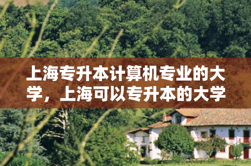 上海专升本计算机专业的大学，上海可以专升本的大学分数线