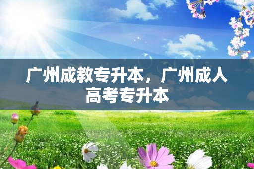 广州成教专升本，广州成人高考专升本